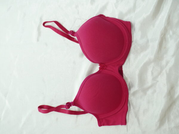 Bra