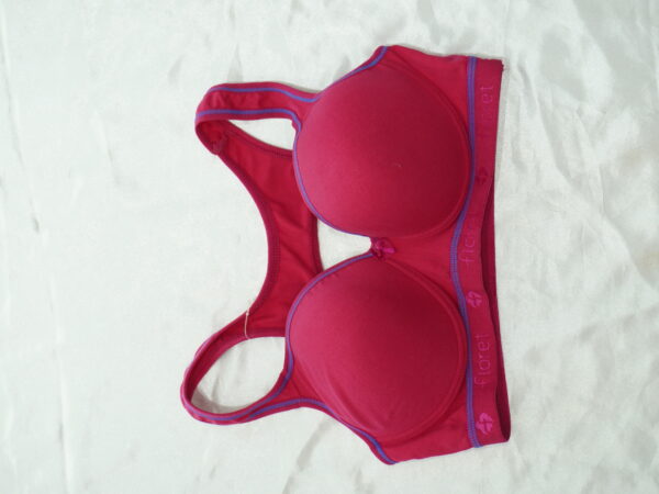 Bra
